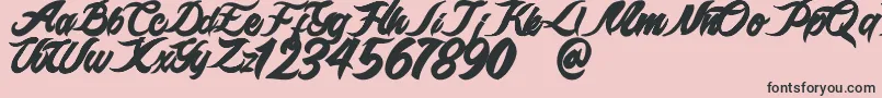 epidemik Font – Black Fonts on Pink Background