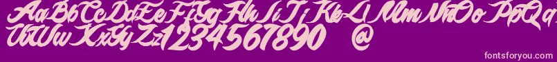 epidemik Font – Pink Fonts on Purple Background