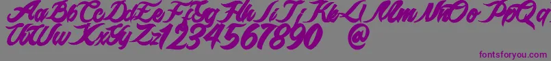 epidemik Font – Purple Fonts on Gray Background