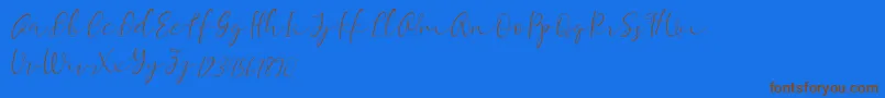 Equalizer Script Demo Font – Brown Fonts on Blue Background