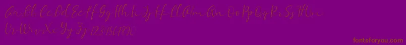 Equalizer Script Demo-Schriftart – Braune Schriften auf violettem Hintergrund