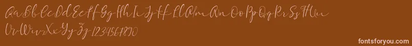 Equalizer Script Demo Font – Pink Fonts on Brown Background