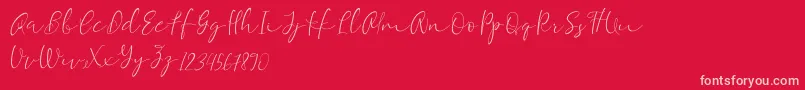 Equalizer Script Demo-Schriftart – Rosa Schriften auf rotem Hintergrund