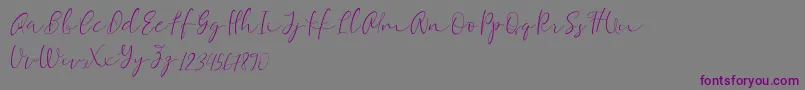 Equalizer Script Demo-Schriftart – Violette Schriften auf grauem Hintergrund