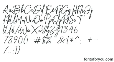 Equalizer Script font – calligraphic Fonts