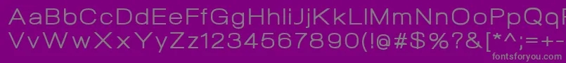 フォントNeogramRegularextd – 紫の背景に灰色の文字