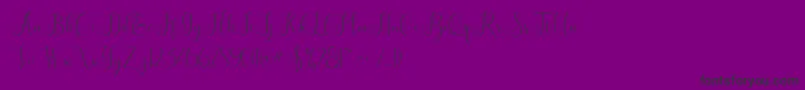 Eritta Font – Black Fonts on Purple Background