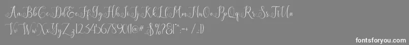 フォントEritta – 灰色の背景に白い文字