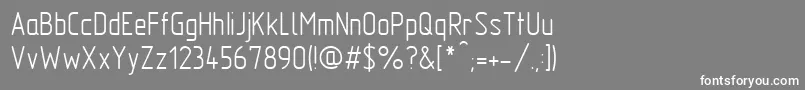 フォントGostTypeAu – 灰色の背景に白い文字