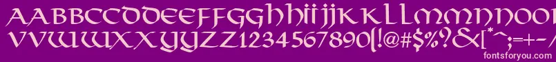 VikkingdbNormal Font – Pink Fonts on Purple Background
