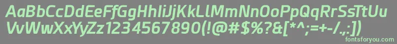 フォントEsphimere Bold Italic – 灰色の背景に緑のフォント