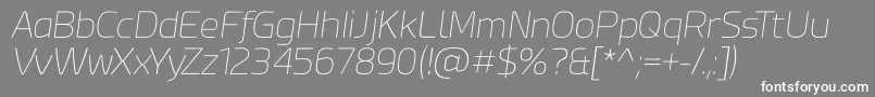 Esphimere Thin Italic Font – White Fonts on Gray Background