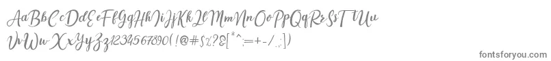 フォントEstadia – 白い背景に灰色の文字