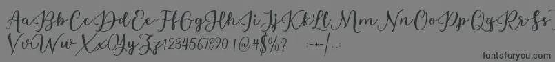 Шрифт Estafet Letter Script – чёрные шрифты на сером фоне