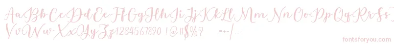 Estafet Letter Script Font – Pink Fonts on White Background