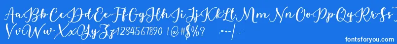Estafet Letter Script Font – White Fonts on Blue Background