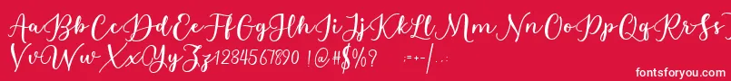 Estafet Letter Script Font – White Fonts on Red Background