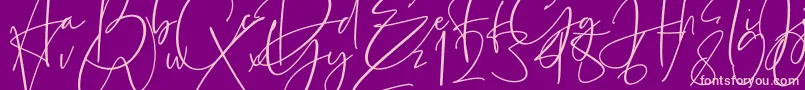 Estefin Font – Pink Fonts on Purple Background