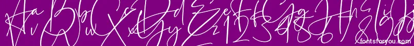 Estefin-Schriftart – Weiße Schriften auf violettem Hintergrund