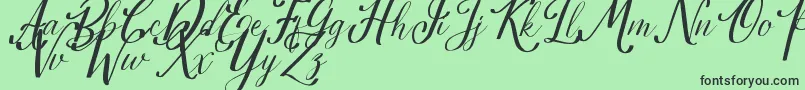 Estella Font – Black Fonts on Green Background