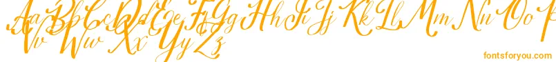 Estella Font – Orange Fonts on White Background