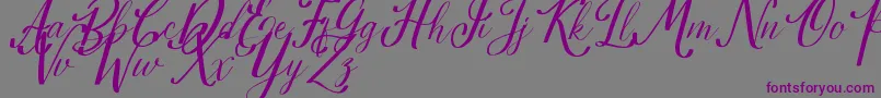 Estella-Schriftart – Violette Schriften auf grauem Hintergrund