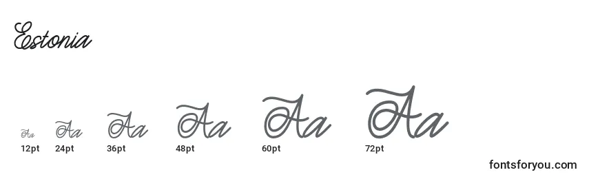 Размеры шрифта Estonia