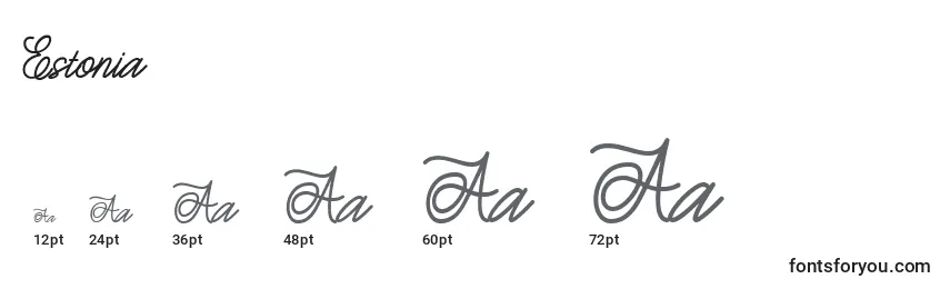 Размеры шрифта Estonia (126112)