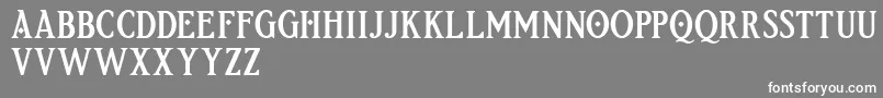 Etherion FREE Font – White Fonts on Gray Background