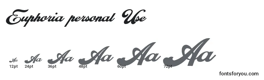 Euphoria personal Use Font Sizes
