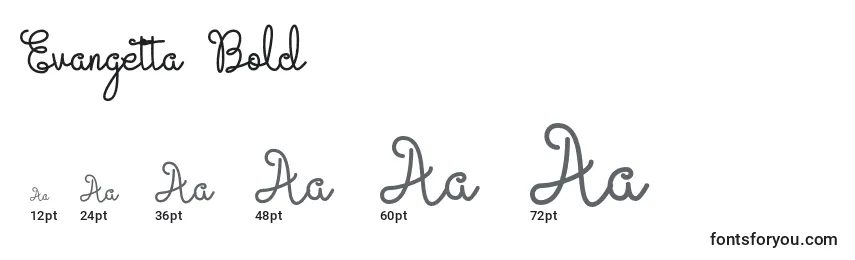 Размеры шрифта Evangetta Bold