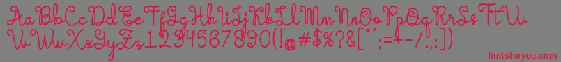 Evangetta Bold Font – Red Fonts on Gray Background