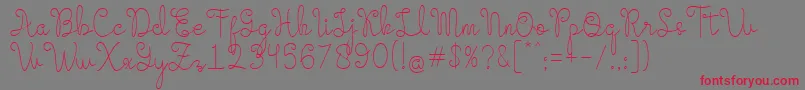 Evangetta Etra Light Font – Red Fonts on Gray Background