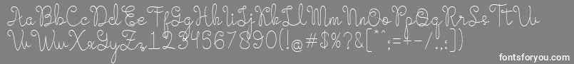 Evangetta Etra Light Font – White Fonts on Gray Background