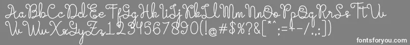 Evangetta Regular Font – White Fonts on Gray Background