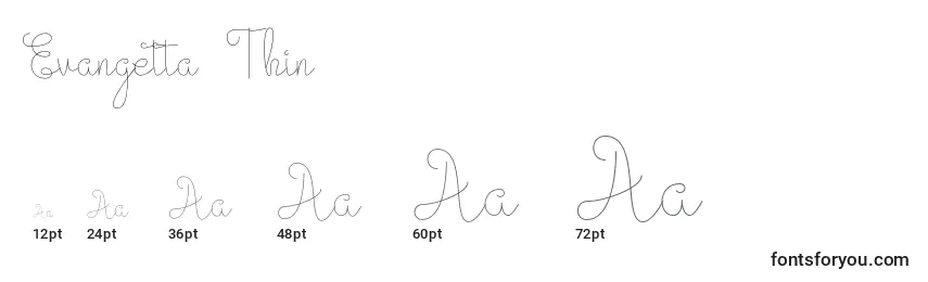 Размеры шрифта Evangetta Thin