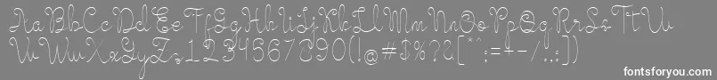 Evangetta Thin Font – White Fonts on Gray Background