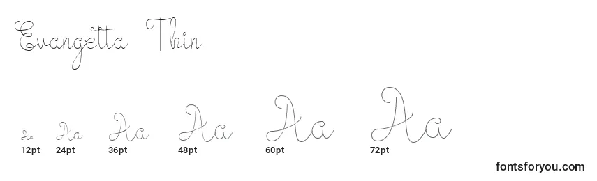 Размеры шрифта Evangetta Thin (126178)