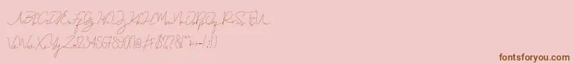 Eveline Cara Font – Brown Fonts on Pink Background