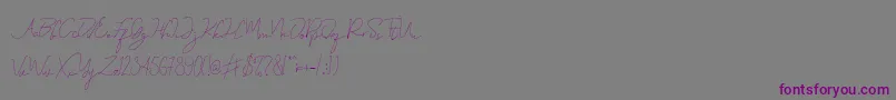 Eveline Cara Font – Purple Fonts on Gray Background