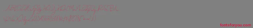 Eveline Cara Font – Red Fonts on Gray Background
