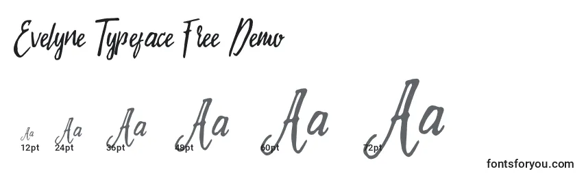 Размеры шрифта Evelyne Typeface Free Demo (126183)