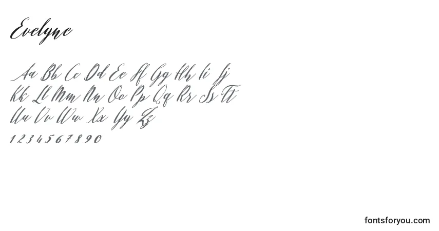 A fonte Evelyne – alfabeto, números, caracteres especiais