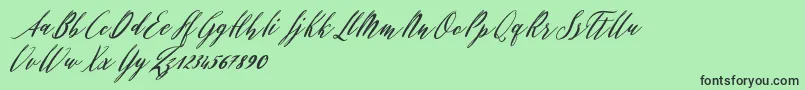 Evelyne Font – Black Fonts on Green Background