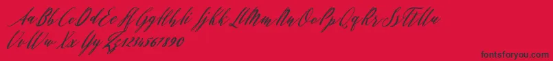Evelyne Font – Black Fonts on Red Background