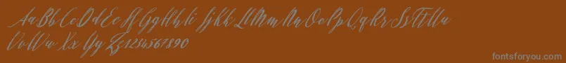 Evelyne Font – Gray Fonts on Brown Background