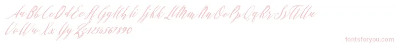 Evelyne Font – Pink Fonts on White Background