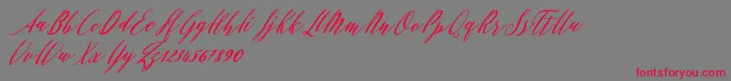 Evelyne Font – Red Fonts on Gray Background