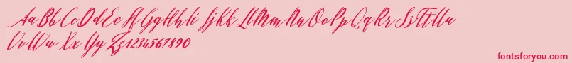 Evelyne Font – Red Fonts on Pink Background