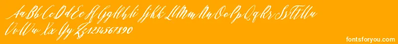 Evelyne Font – White Fonts on Orange Background